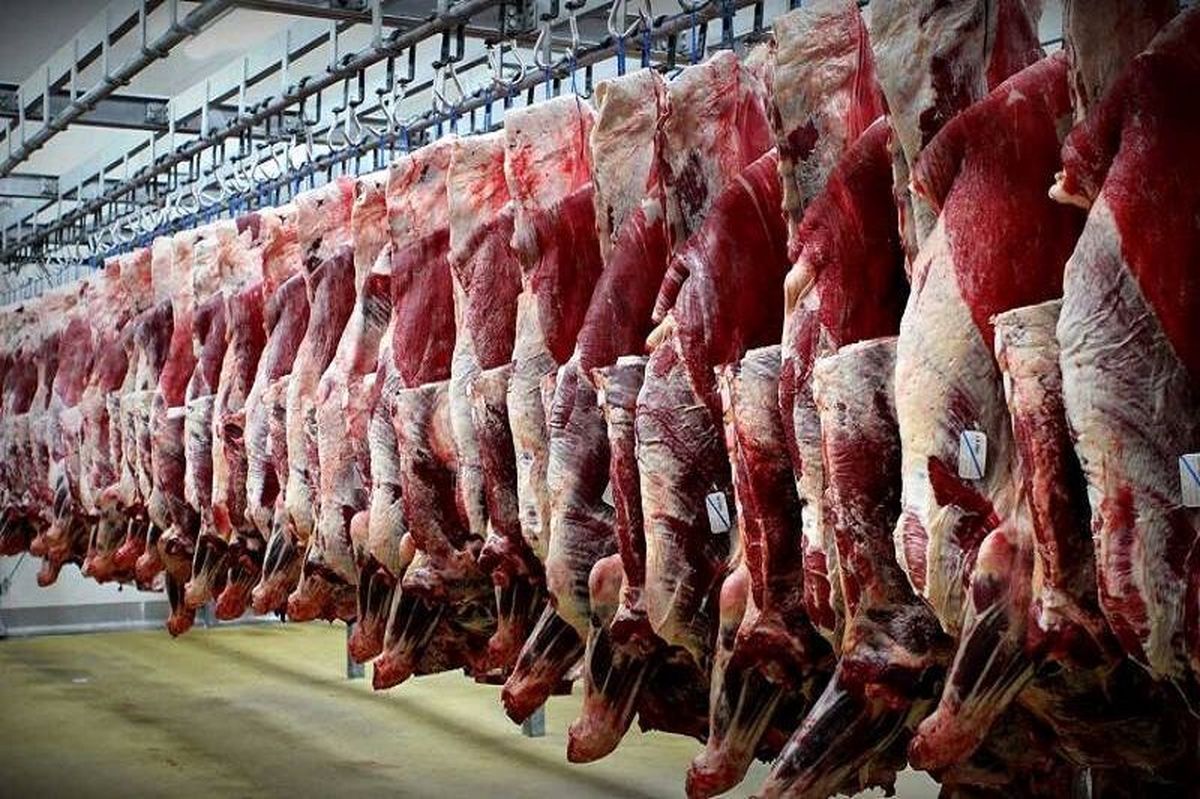 قیمتگوشت